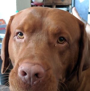 Meet your Posher, Angie